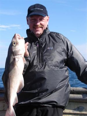 Morten Hansen