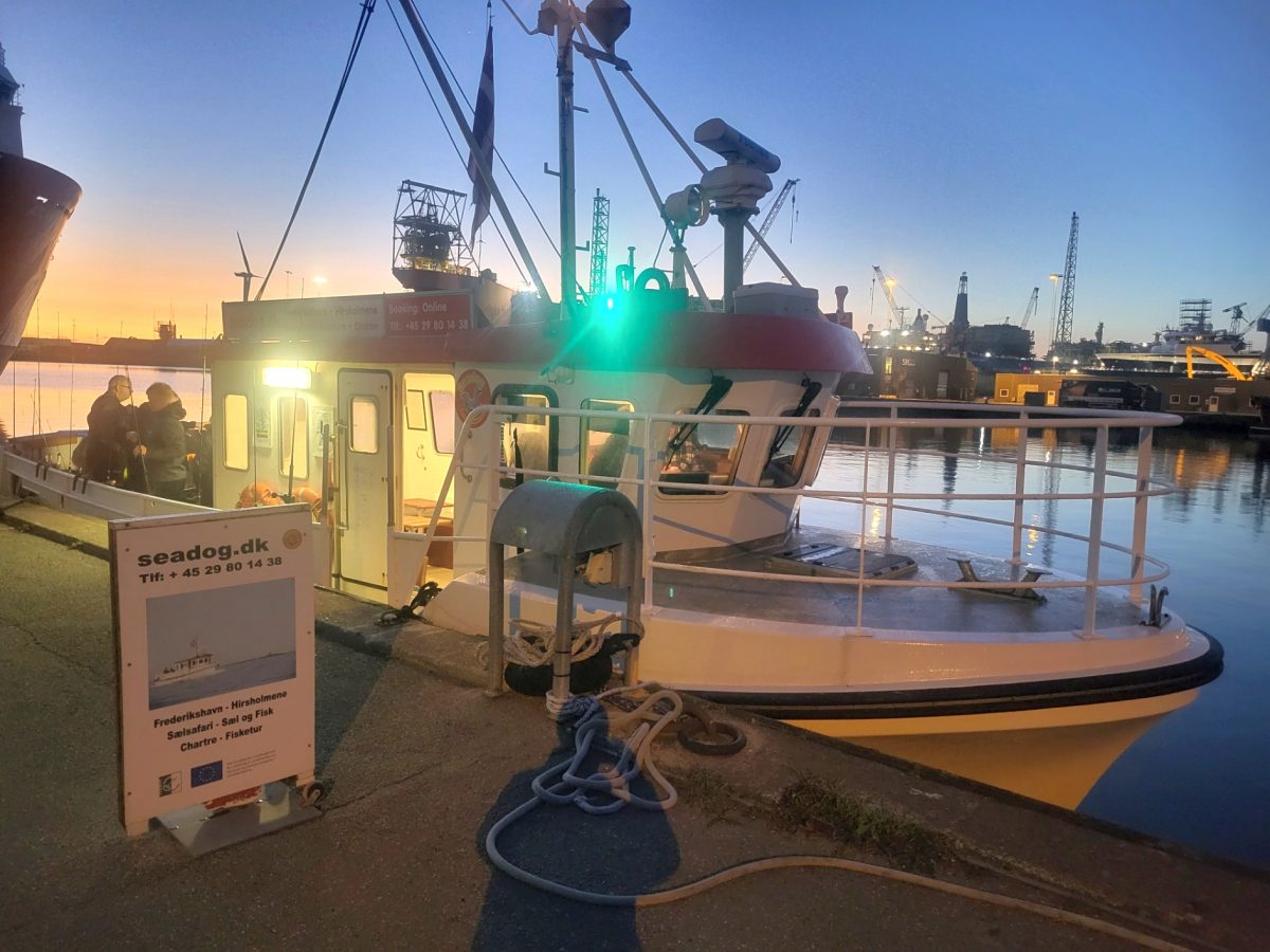 M/S Seadog