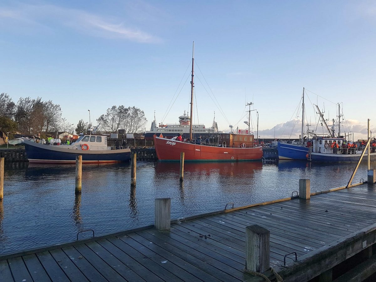 M/S Amigo