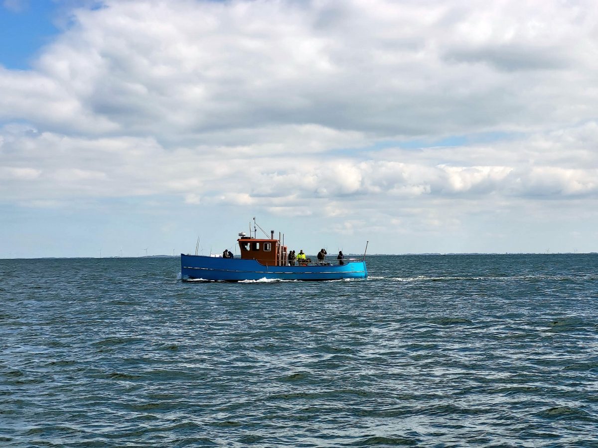 M/S Drost