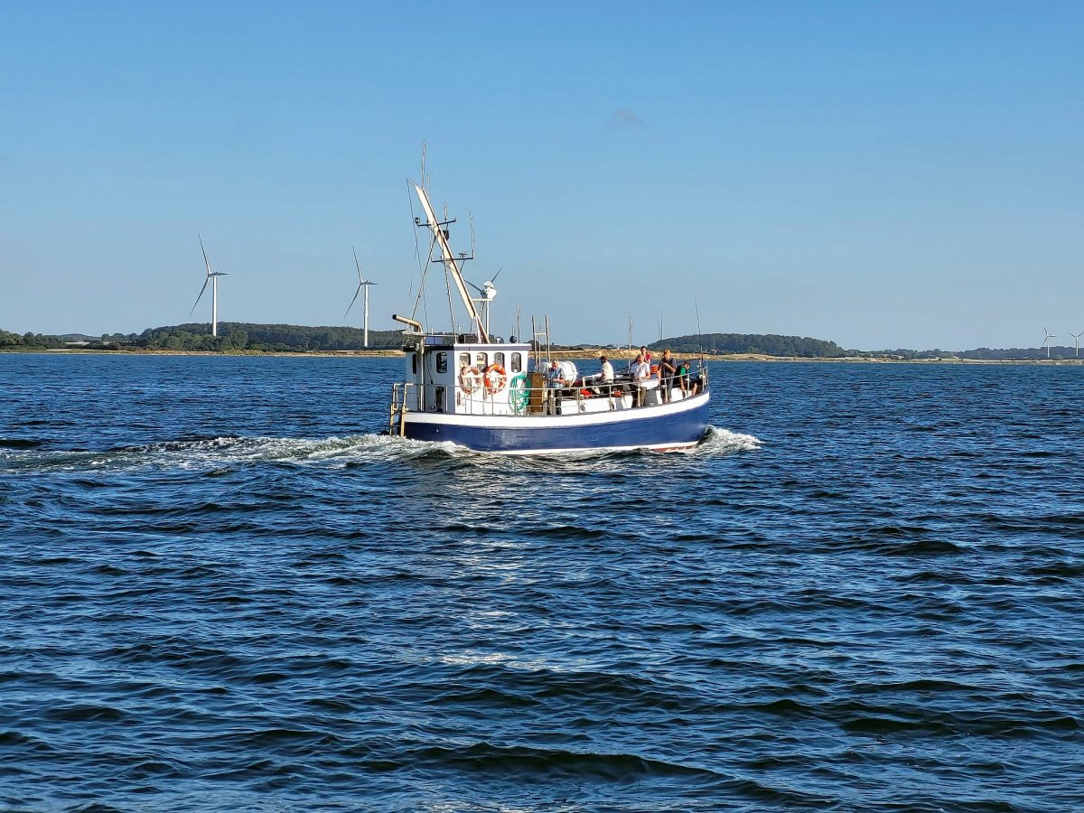 M/S Skjold