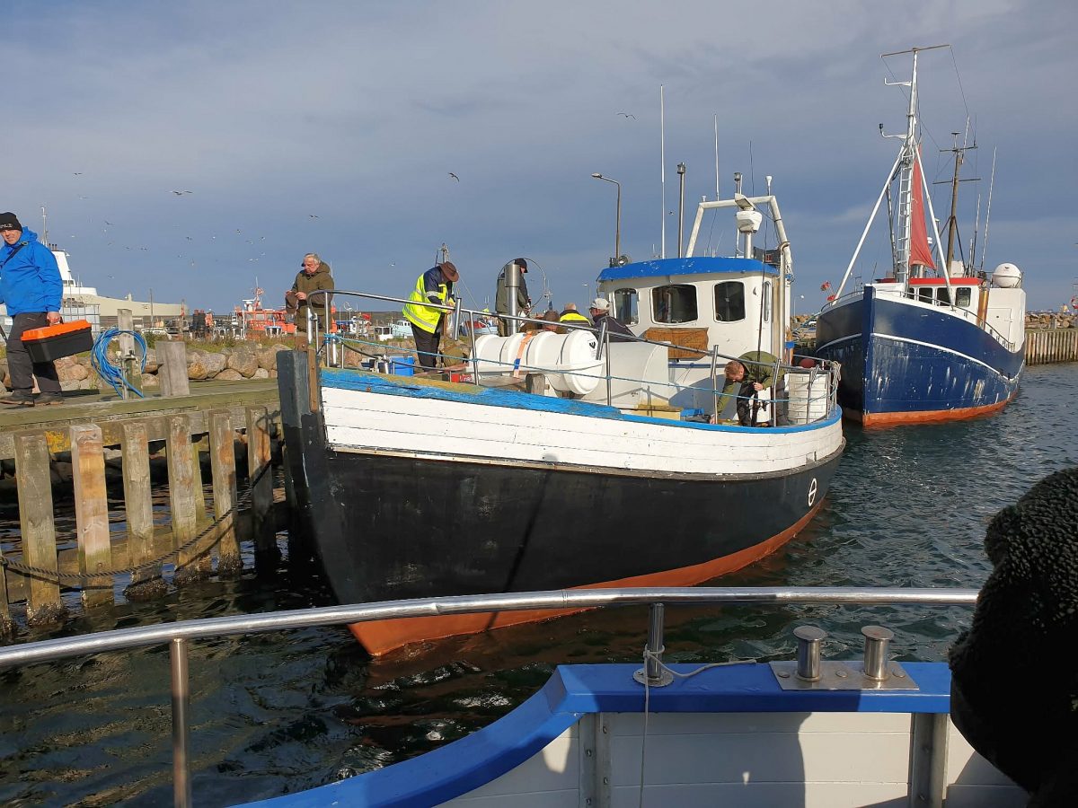 M/S Svend