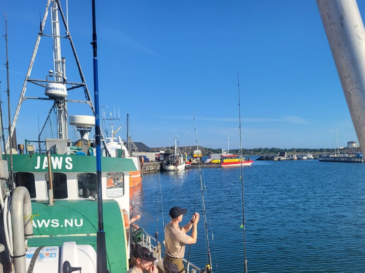 M/S Jaws